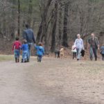 Social distance files: Wellesley’s Centennial Reservation