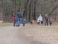 Social distance files: Wellesley’s Centennial Reservation