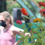 Farmers market opens with restrictions