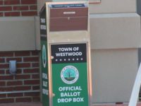 Town clerk ensuring voting goes smoothly