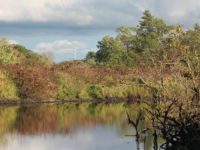 Two paths, one hike along Charles