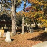 Hometown Weekly’s finest foliage spots