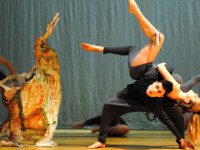 Walpole High Dance Company to debut dance show