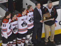 Wellesley girls hockey falls in D2 final