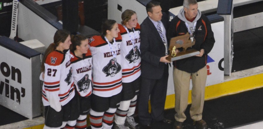 Wellesley girls hockey falls in D2 final