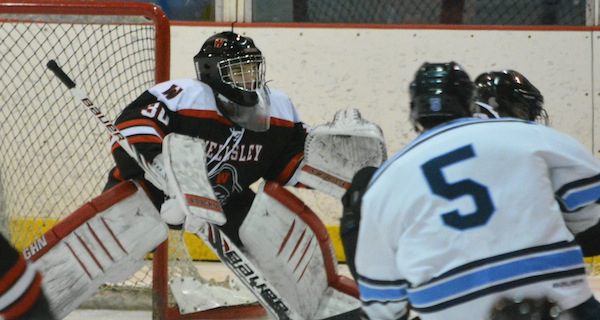 Season Comes to an End for Wellesley Boys Hockey