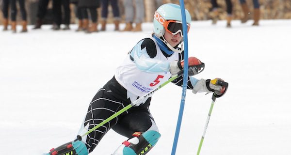 Wellesley Alpine Ski Team Performs at States