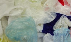 Wellesley NRC Seeks Ban on Plastic Bags