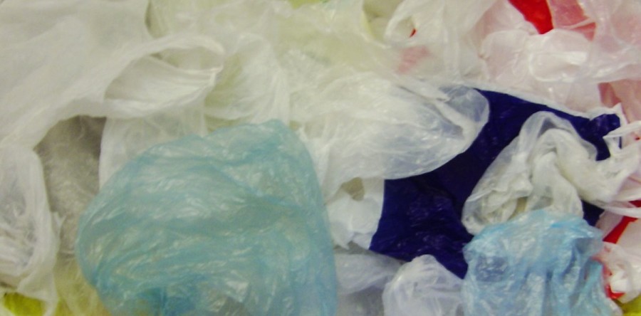 Wellesley NRC Seeks Ban on Plastic Bags
