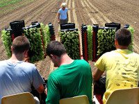 Medfield TV video explores benefit of local farming