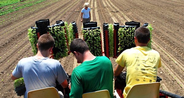 Medfield TV video explores benefit of local farming