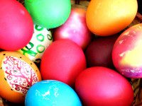 Bird Park in Walpole hosting Easter Egg Hunt