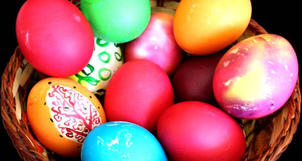 Bird Park in Walpole hosting Easter Egg Hunt