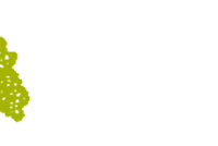 Elm Street PAC holding silent auction fundraiser in Walpole