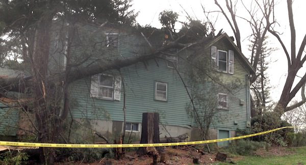 Tree Falls Onto Needham Home
