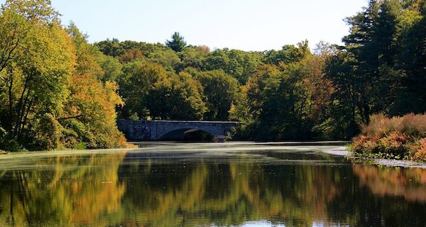 As Seasons Change, Residents Return to Charles River Peninsula