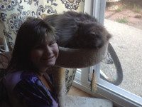 Medfield Girl Scout collects for animals