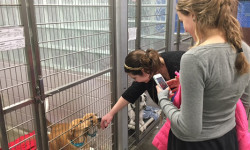 Sage School Student Council assist local shelter