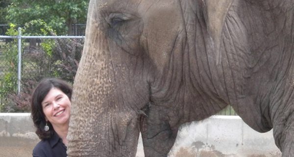 Westwood Library hosting “Elephant Company” author Vicki Croke