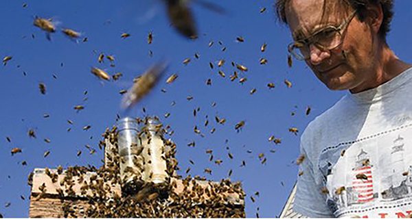 Honeybee expert to discuss his book at the Walpole Library