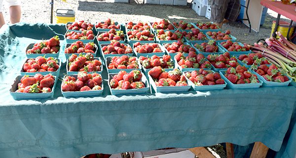 Walpole Farmers Market opens for summer