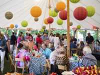 Zullo Arts Festival an elegant evening