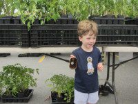 Farmers Market opens for season