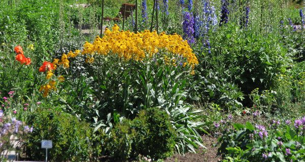 New England Plant Swap to be held in Walpole