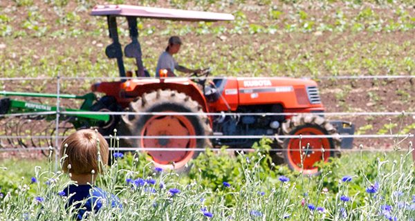 Powisset Farm photo competition