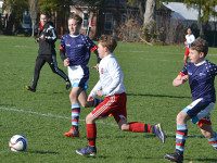 Wellesley soccer taste international competition