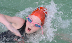 Walpole swim team beats Needham