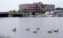 Neponset Watershed facing severe drought