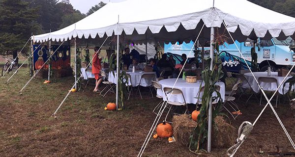 Dover Springdale Festival prevails despite weather