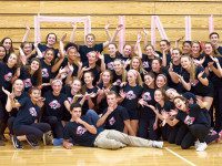 Wellesley High to host Dig Pink breast cancer fundraiser