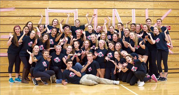 Wellesley High to host Dig Pink breast cancer fundraiser