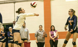 Walpole Volleyball wins eight in a row