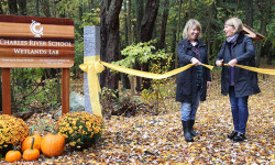 Charles River School opens Wetlands Lab