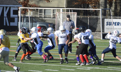 Polk and Gibbons are all stars