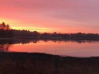 Sunrise at Buckmaster Pond