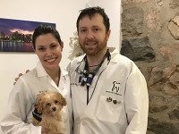 Westwood dental partners’ story smile-worthy