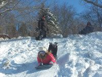 The snow must go on