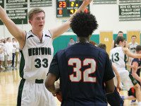 Wolverine hoop takes Holiday Tournament