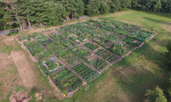 Community Garden accepting plot registrations