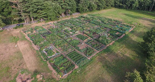 Community Garden accepting plot registrations
