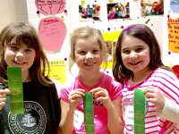 Deerfield students shine at science fair