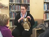 Discovering owls, nocturnal animals
