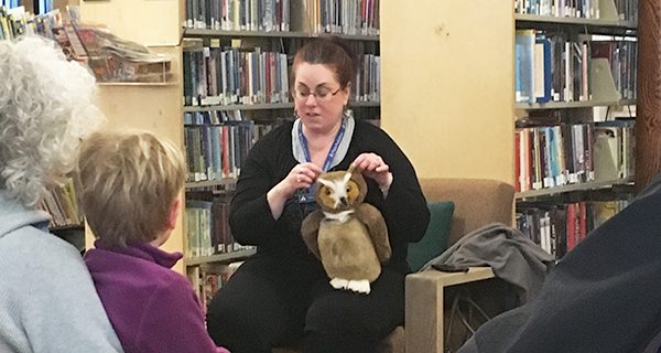 Discovering owls, nocturnal animals