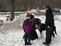 Sled dogs mush to Sherborn