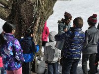 Wellesley Library taps into fun