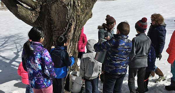 Wellesley Library taps into fun